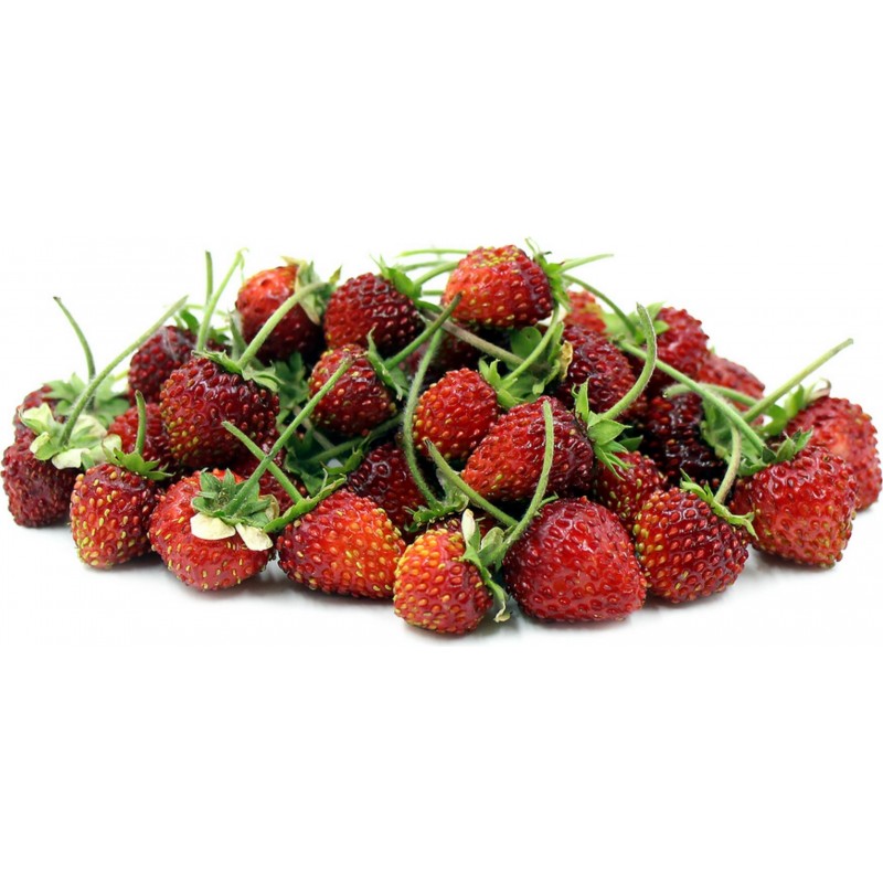 Άγρια Φράουλα Σπόροι ‘’RUGIA’’ (Fragaria vesca) 2.5 - 2