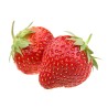 How to Grow Strawberries from Seed