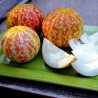 Price: €4.95 - Σπόροι Αρμενίων Πεπόνι Tigger - Seeds Gallery