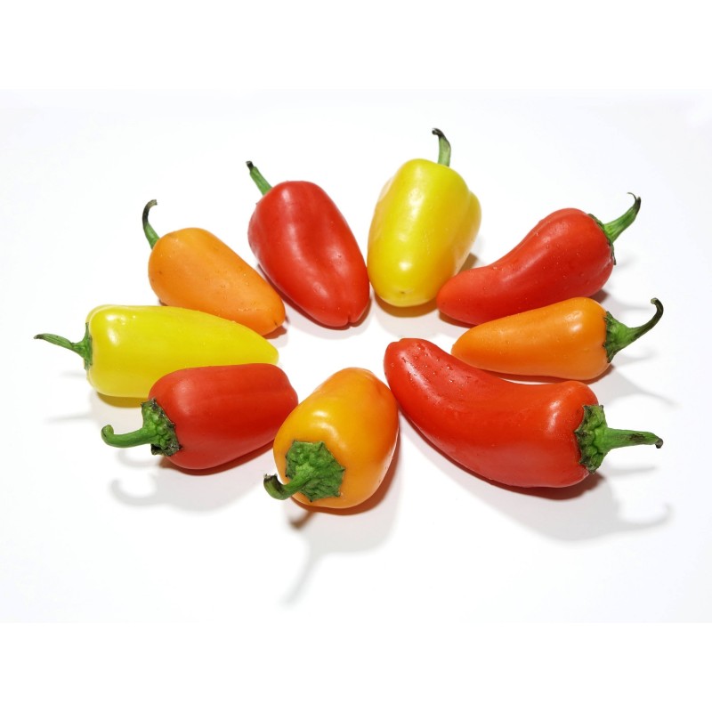Hot Chilli Pepper Seeds SANTA FE GRANDE - GUERO 1.55 - 6