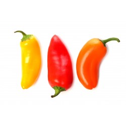Hot Chilli Pepper Seeds SANTA FE GRANDE - GUERO 1.55 - 3