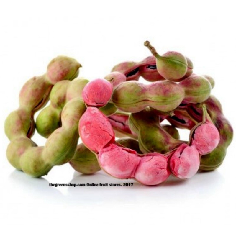 Semillas de Tamarindo de Manila (Pithecellobium dulce)