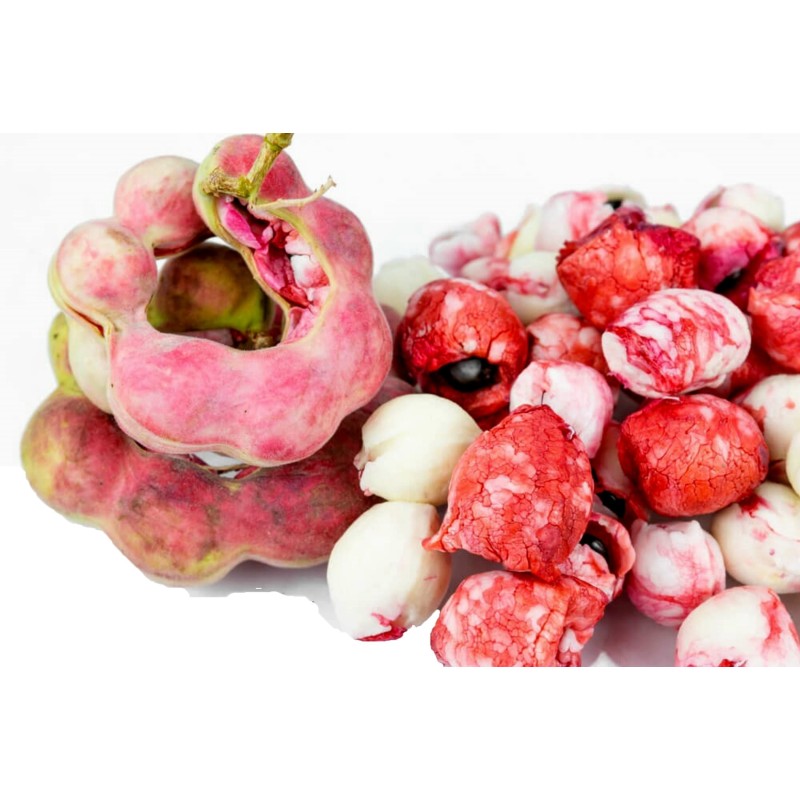 Semillas de Tamarindo de Manila (Pithecellobium dulce)