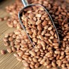 Price: €2 - Semillas de frijol Pinto - 