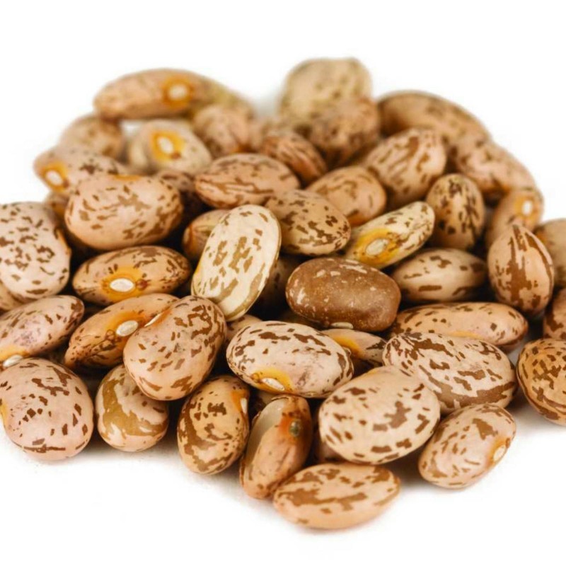 “Pinto” Bean Seeds (Phaseolus vulgaris) 2 - 3