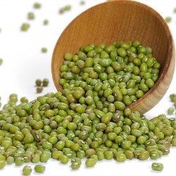 Price: €1.8 - Sementes de Feijão-da-china (Vigna radiata) - 