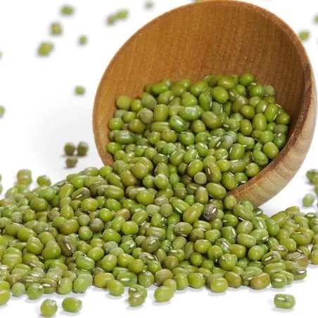 Graines de Haricot Mungo (Vigna radiata)