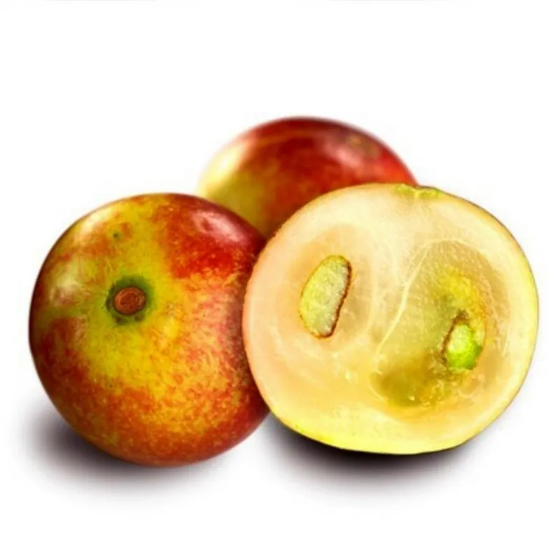 Camu Camu Seeds (Myrciaria dubia)