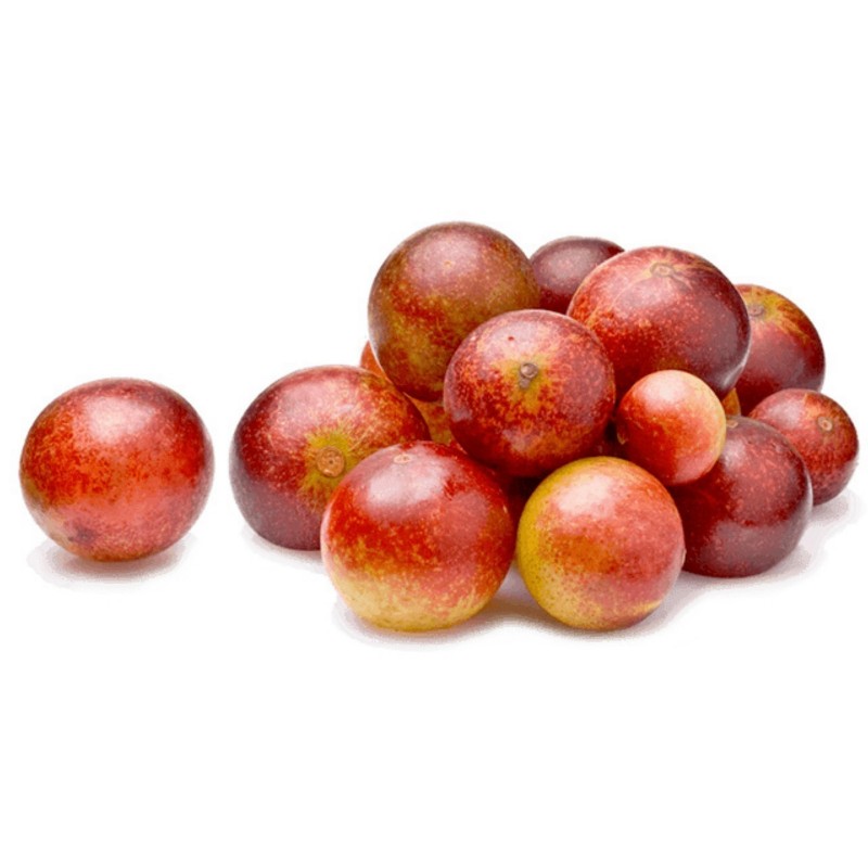 Price: €4.5 - KAMU KAMU Seme (Myrciaria dubia) - 
