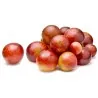 Sementes de Camu Camu (Myrciaria dubia)