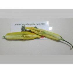 Semillas de Chile Lemon Drop (Capsicum baccatum) 1.5 - 4