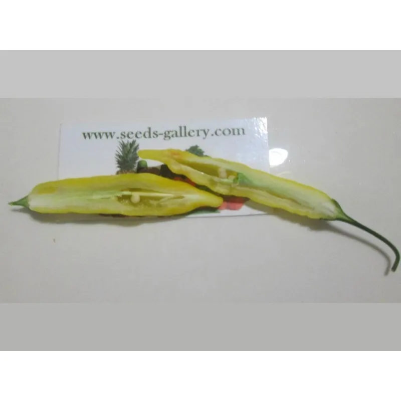 Semi Di Peperoncino Lemon Drop (Capsicum baccatum)