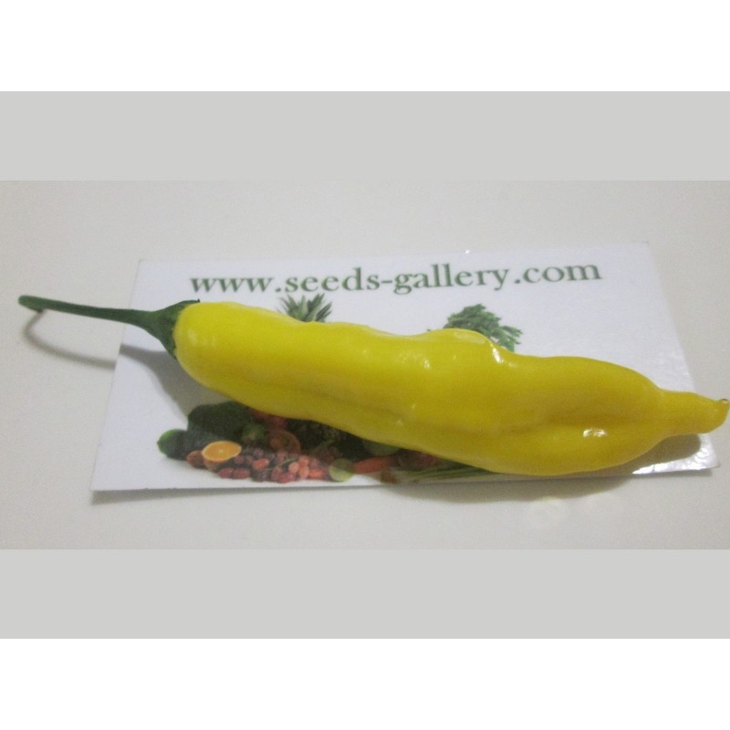 Price: €1.5 - Σπόροι πιπεριά Τσίλι Lemon Drop (Capsicum baccatum) - Seeds Gallery