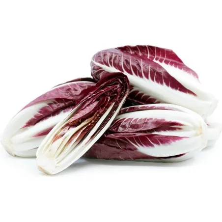 Sementes de Chicória Rossa di Treviso