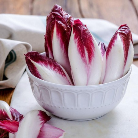 Rossa di Treviso Frön Rosésallat, Radicchio | 1,85 €