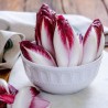 Rossa di Treviso Frön Rosésallat, Radicchio | 1,85 €