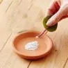 O pó rápido da hormona de enraizamento, enraizamento das estacas, melhora a germinação das sementes