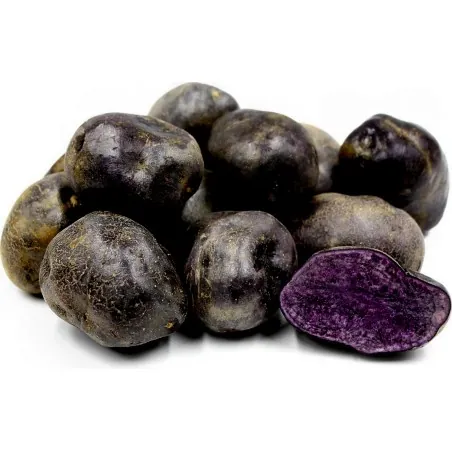 Semi di Patate Viola Peruviano
