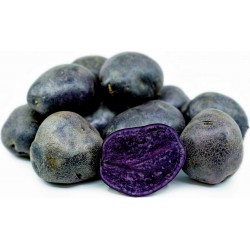 Семена Перуанские Фиолетового Картофеля 3.05 - 3