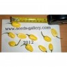 Price: €2 - Sementes de Habanero Marfim (Ivory) - Seeds Gallery