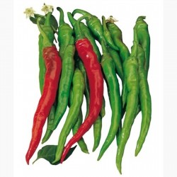 Price: €1.85 - Graines de piment doux SIGARETTA Lombardo - 