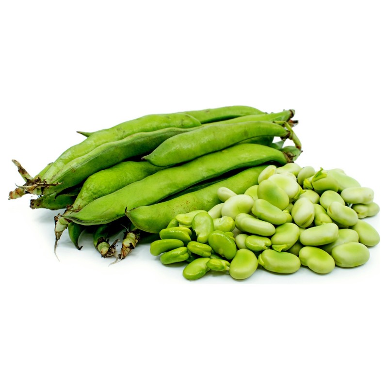 Fava κουκια σποροι (Vicia faba)