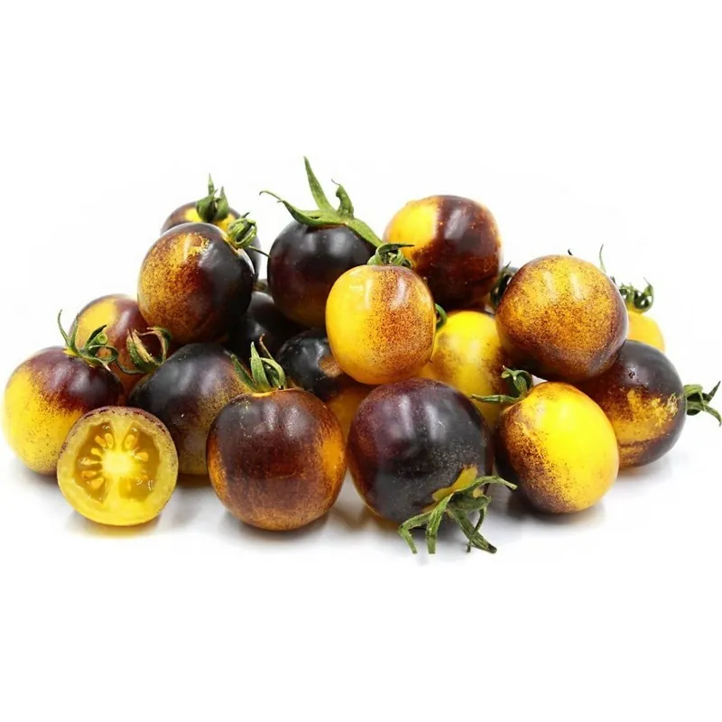Sementes de tomate Amarelo Azul Wagner