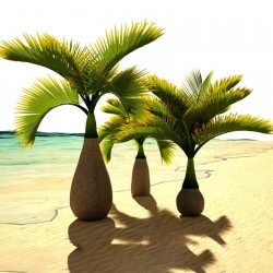 Price: €4.95 - Semi di Palma Bottiglia (Hyophorbe lagenicaulis) - 