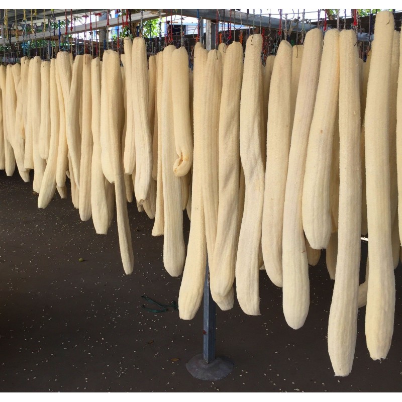 Sementes de Esponja Luffa Longa Gigante (Luffa aegyptiaca) 2.15 - 3