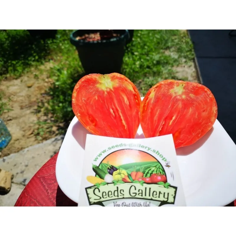 Sementes de Tomato "Coração de Boi"