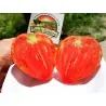 Graines de Tomate Coeur de Boeuf