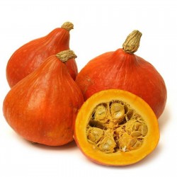 Price: €1.95 - Sementes De Abóbora Hokkaido - 