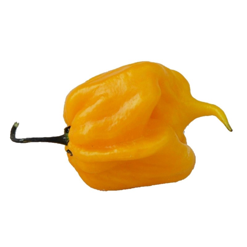 Price: €2.1 - Graines de piment Carolina Reaper (Rouge, Marron, Jaune) - Seeds Gallery