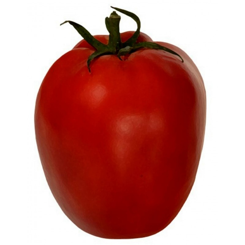 Semillas de tomate Alparac - Variedad de Serbia 1.95 - 1