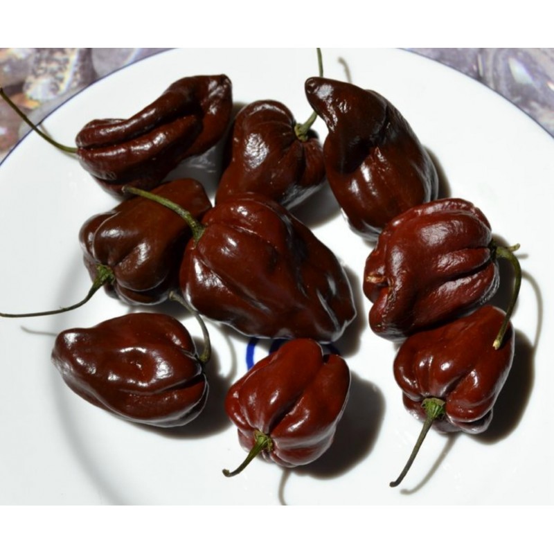 Price: €1.85 - Τσίλι Habanero κόκκινο, κίτρινο, πορτοκαλί σπόροι - Seeds Gallery