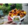 Sementes de tomate Amarelo Azul Wagner