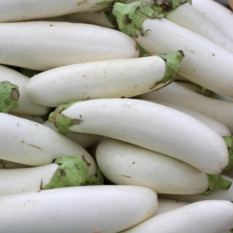 Price: €1.85 - White Eggplant Seeds - 
