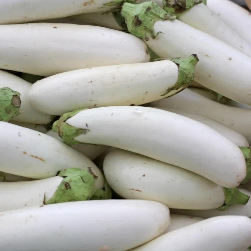 White Eggplant Seeds