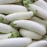 White Eggplant Seeds