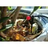 Drip Irrigation System, Automatic Watering with Adjustable Drippers