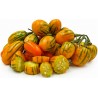 STRIPED TOGA Auberginefrön | 2,25 €