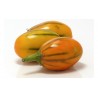 STRIPED TOGA Auberginefrön | 2,25 €