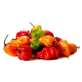 Habanero Red, Yellow, Orange Seeds - 216.985714