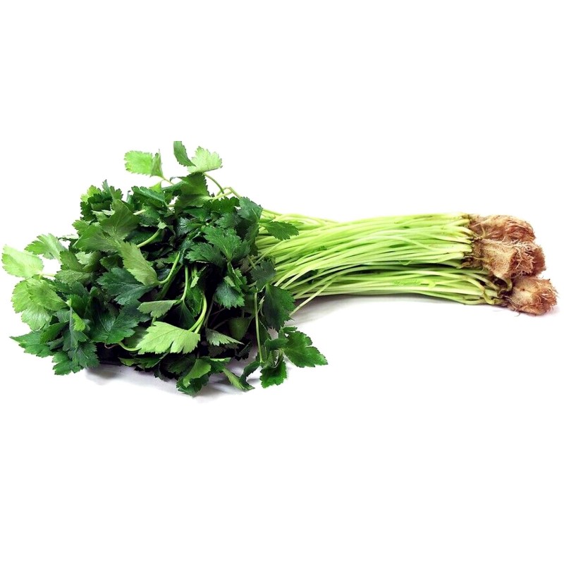 Price: €1.95 - Mitsuba - Japanische Petersilie Samen (Cryptotaenia Japonica) - 