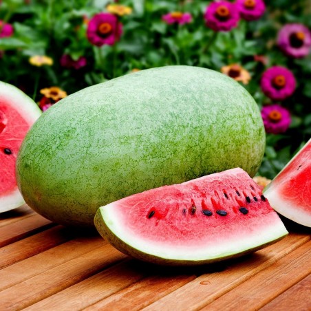 Price: €1.95 - تشارلستون بذور البطيخ الرمادي -