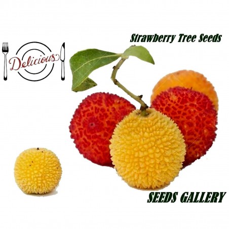 Price: €1.65 - Strawberry Tree Seeds (Arbutus Unedo) -