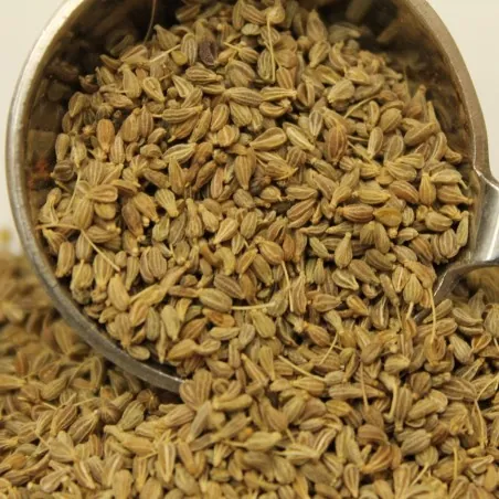 Semi di L'anice comune (Pimpinella anisum)