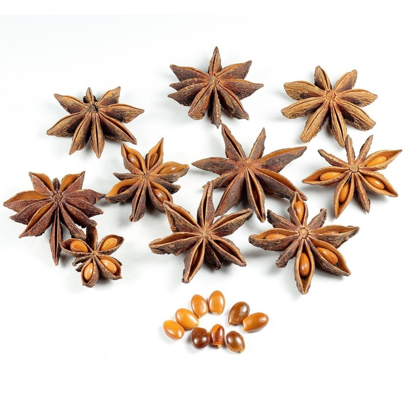 Étoiles triées de badiane bio, anis étoilé (illicium verum)