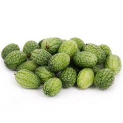 Cucamelon seeds - Mexican Sour Gherkin Cucumber 1.85 - 5