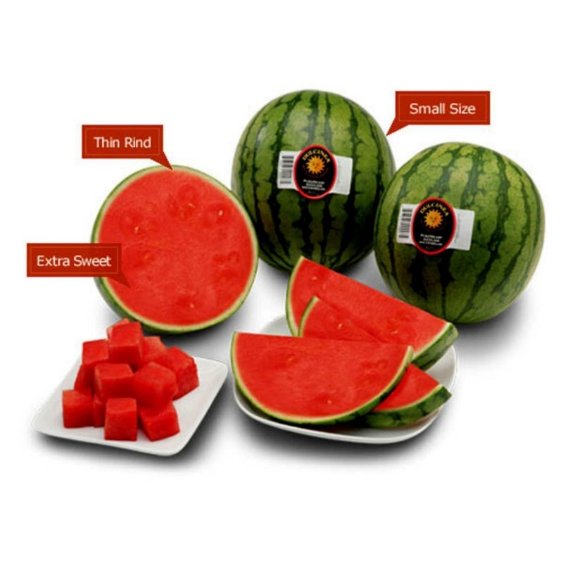 Price: €2.25 - Semillas de sandía mini Sugar Baby - Seeds Gallery